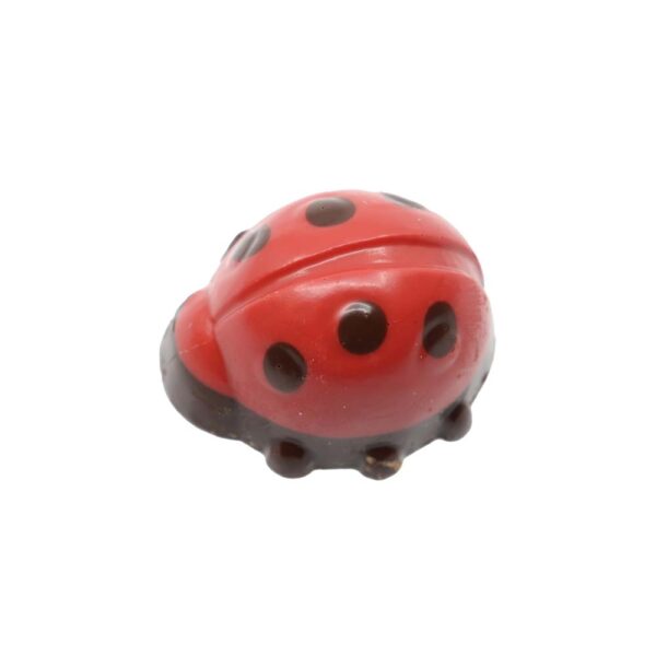 Ladybug praline