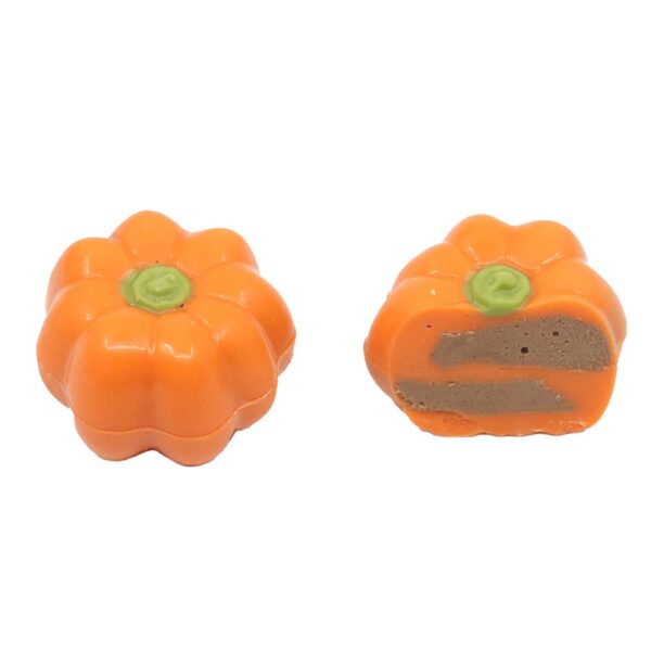 Pumpkin color assortment - Image 4