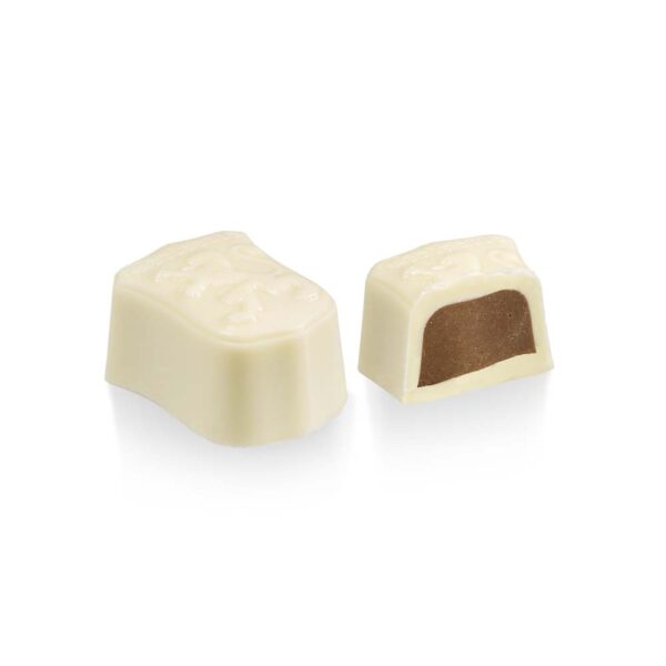 Witte leeuw