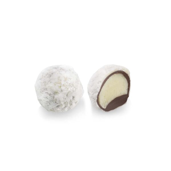 Champagne darkpowder