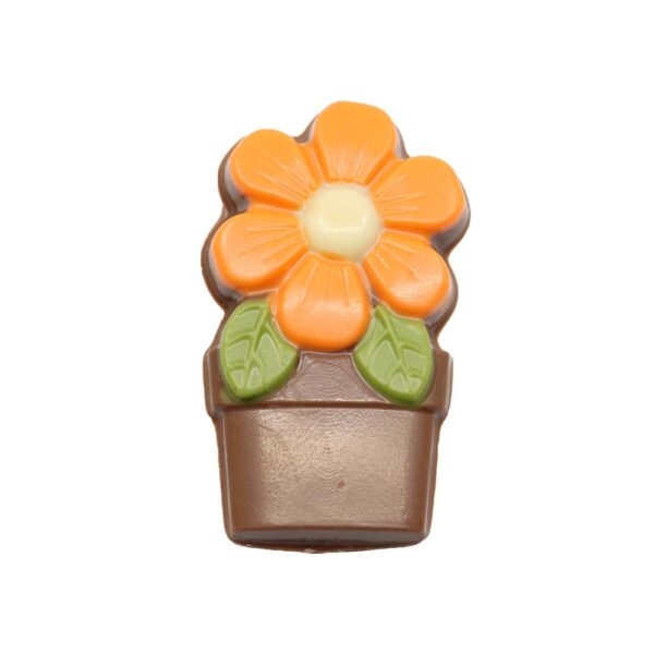 Flower in a pot assortment - Image 2