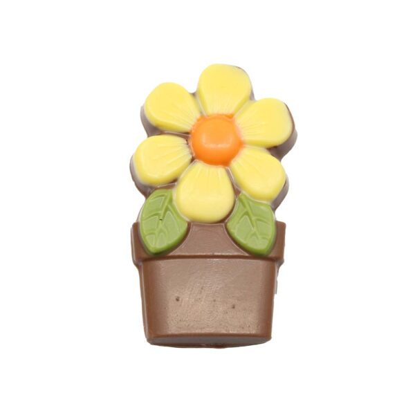 Flower in a pot assortment - Image 3