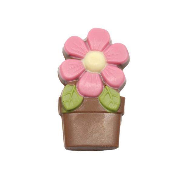 Flower in a pot assortment - Image 4
