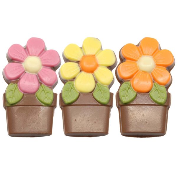 Flower in a pot assortment