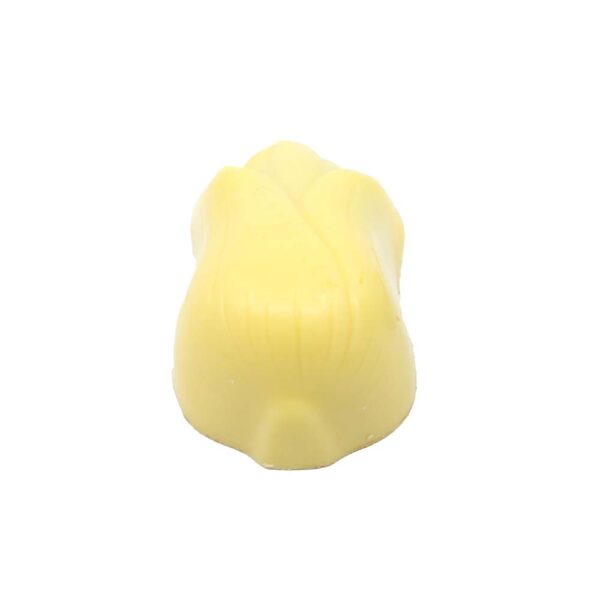 Tulip - Image 3