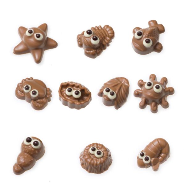Sea you assortment