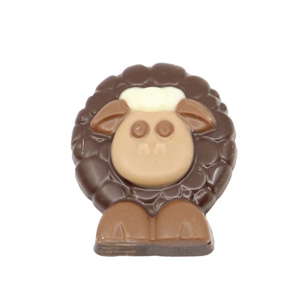 Scared sheep dark