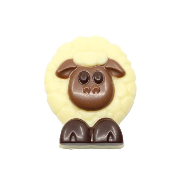 Scared sheep white
