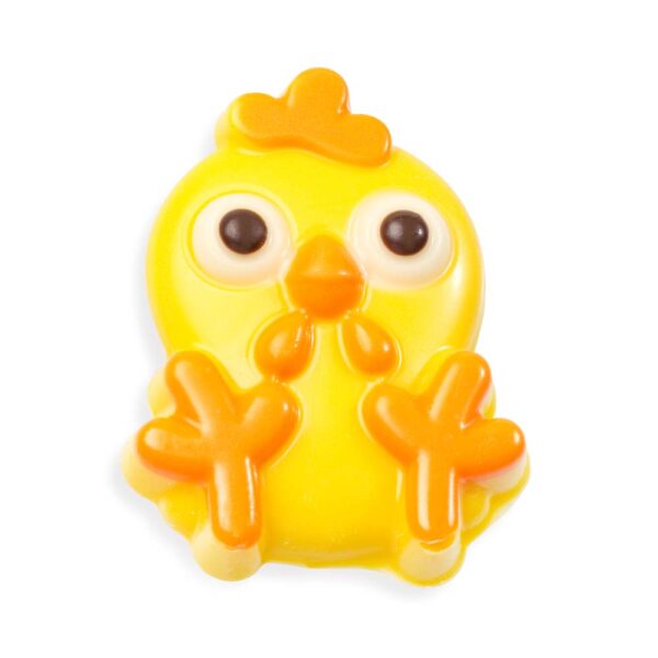 Baby chicken