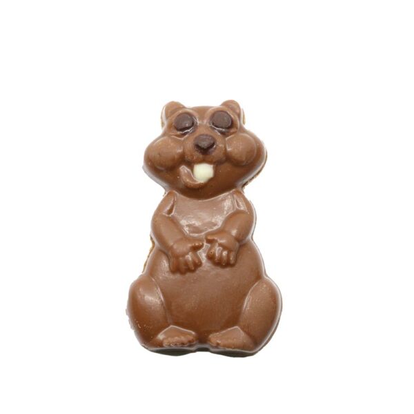 Hamster