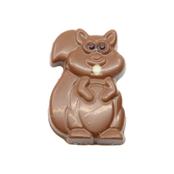 Squirrel