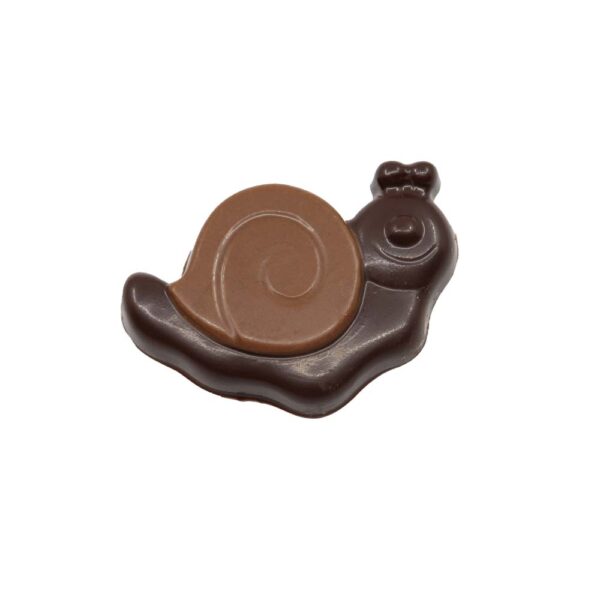 Snails assortment - Image 3