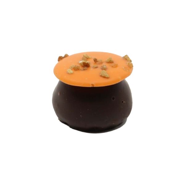 Mushroom dark