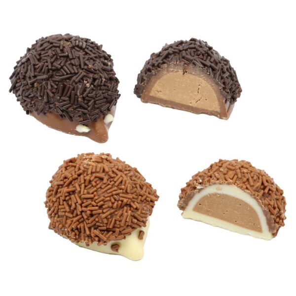 Hedgehogs m/w sprinkles assortment