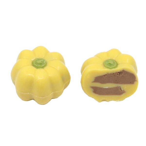 Pumpkin color assortment - Image 2