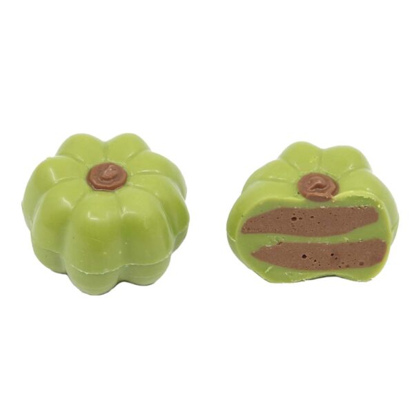 Pumpkin color assortment - Image 3