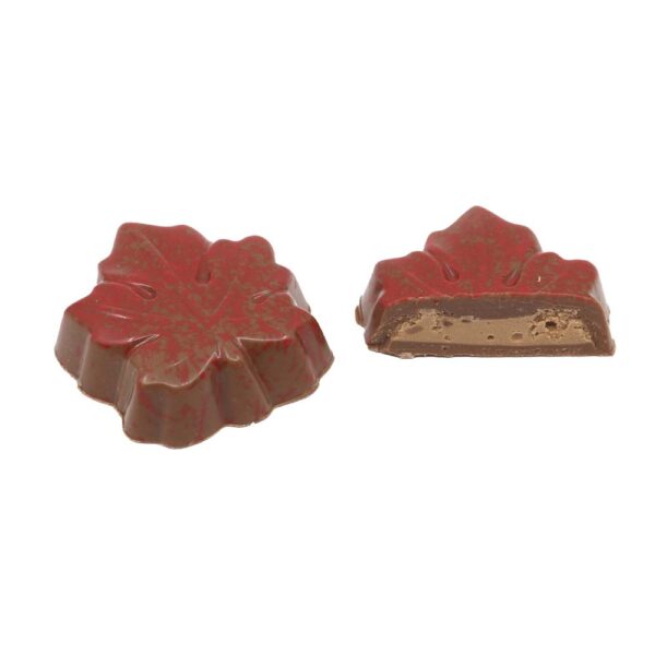 Canadian leaf assortment - Image 2