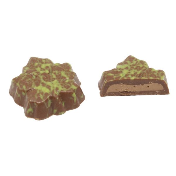 Canadian leaf assortment - Image 3