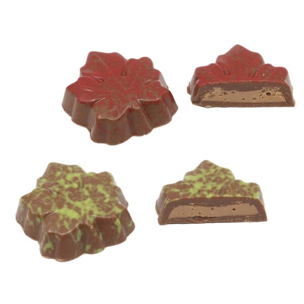 Canadian leaf assortment