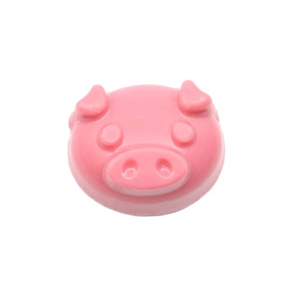 Pigs head